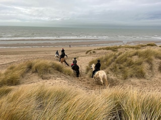 Reiten am Strand - Manege Sanders in Wenduine