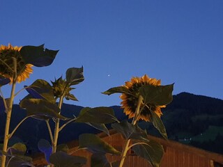 Appartamento per vacanze Leogang Registrazione all'aperto 8