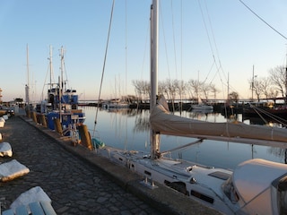 Der Hafen in Burg