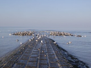 Appartamento Koksijde Ambiente 13