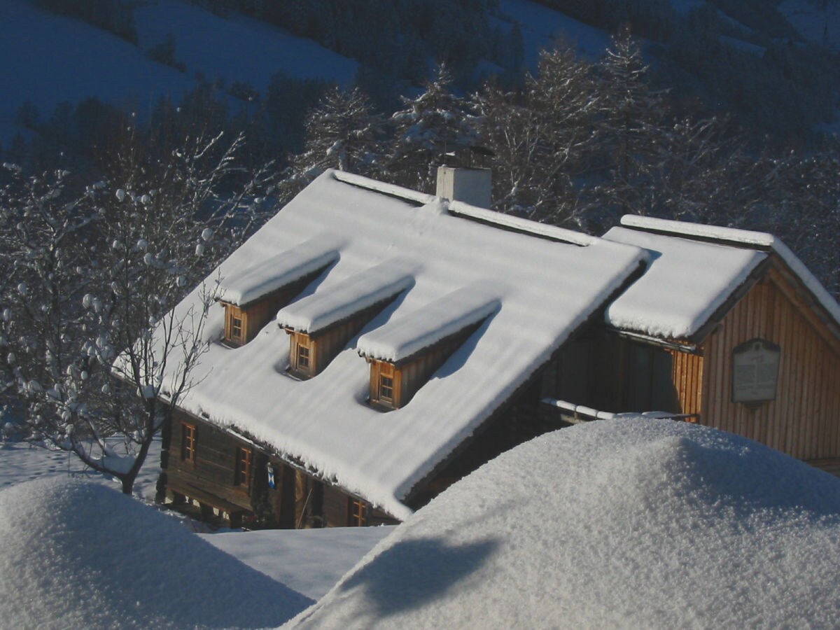 Napoleonvilla in Winter