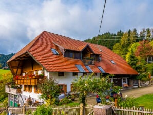 Bauernhof Ferienwohnung Wiesenblick Oberer Strickerhof - Steinach im Kinzigtal - image1