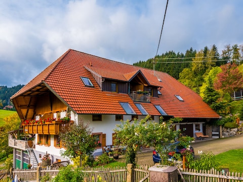 Bauernhof Ferienwohnung Wiesenblick Oberer Strickerhof
