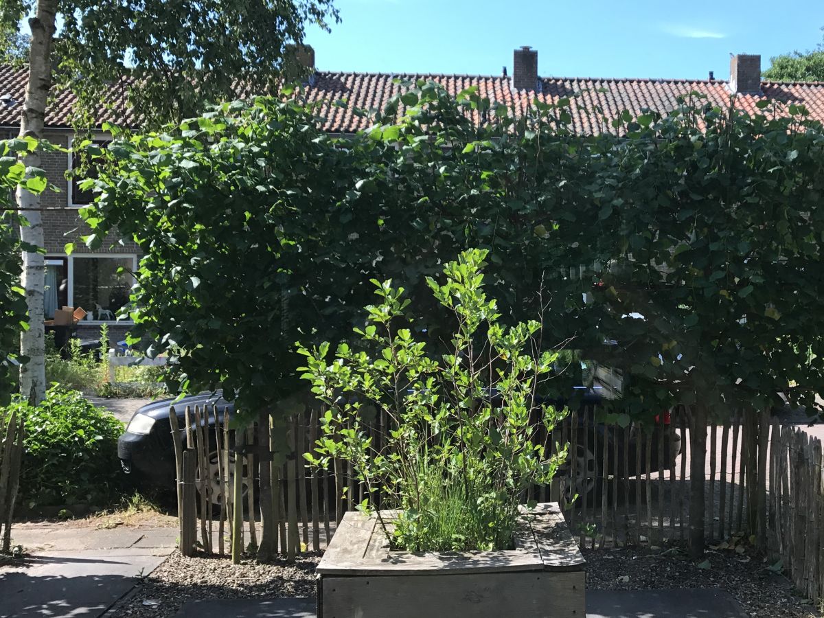 Blick vom Wohnzimmer nach außen (vorne)