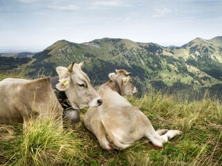 ... ein Kleinod zum Entspannen!