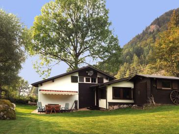 Ferienhaus Feldbergblick