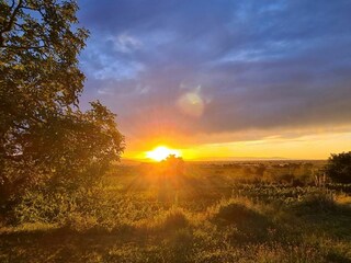Ferienwohnung Endingen am Kaiserstuhl Umgebung 32