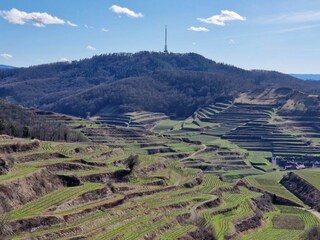 Ferienwohnung Endingen am Kaiserstuhl Umgebung 24