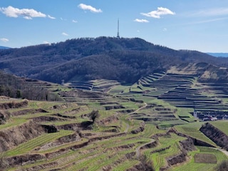 Ferienwohnung Endingen am Kaiserstuhl Umgebung 25