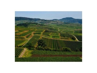 Ferienwohnung Endingen am Kaiserstuhl Umgebung 28