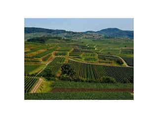 Ferienwohnung Endingen am Kaiserstuhl Umgebung 29