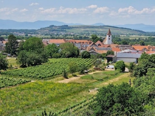 Ferienwohnung Endingen am Kaiserstuhl Umgebung 23