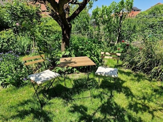 Ferienwohnung Endingen am Kaiserstuhl Außenaufnahme 2