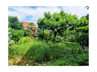 Ferienwohnung Endingen am Kaiserstuhl Außenaufnahme 3