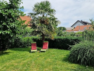 Ferienwohnung Endingen am Kaiserstuhl Außenaufnahme 6