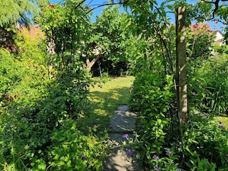 Ferienwohnung Endingen am Kaiserstuhl Außenaufnahme 3