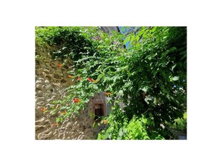 Ferienwohnung Endingen am Kaiserstuhl Außenaufnahme 6