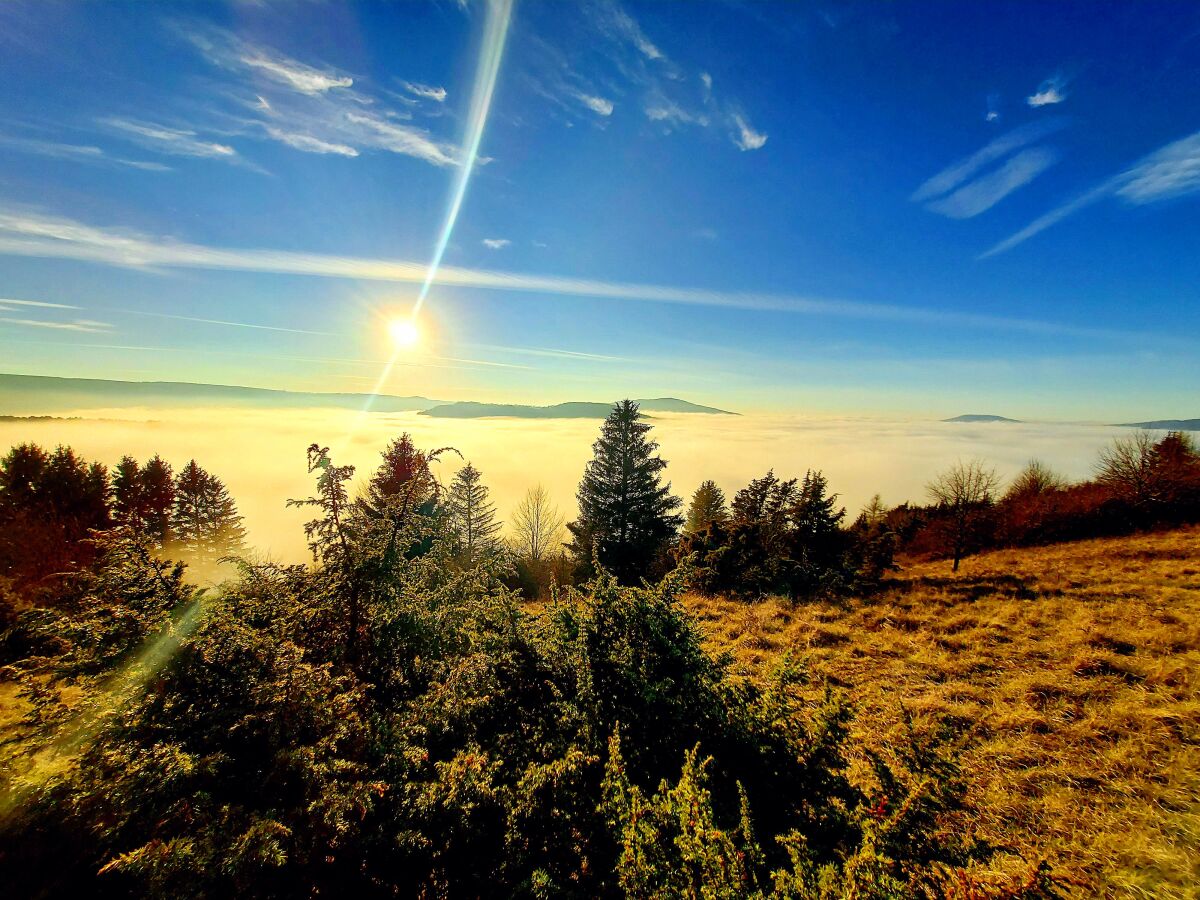 Unser Weidtal im Herbstnebel