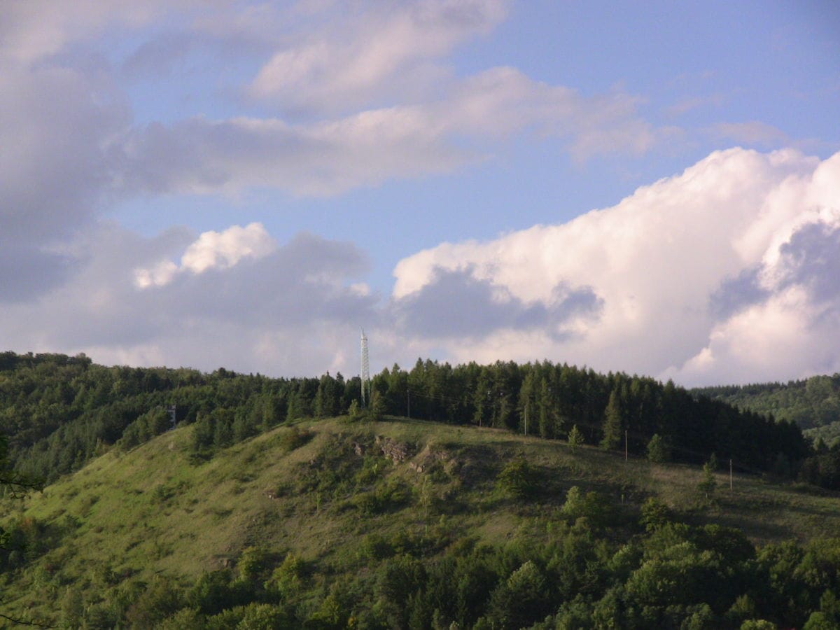 Blick zum Weinberg