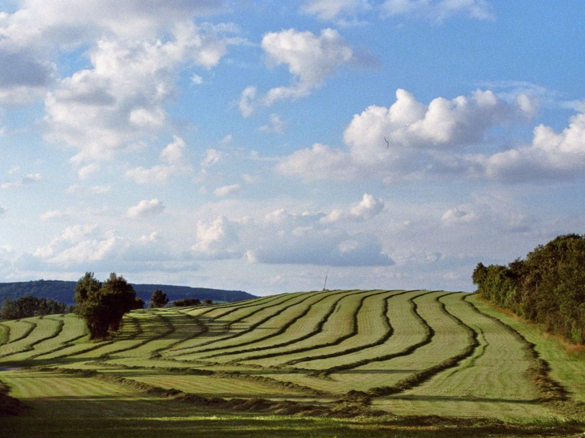 Heuernte auf den Rhönwiesen