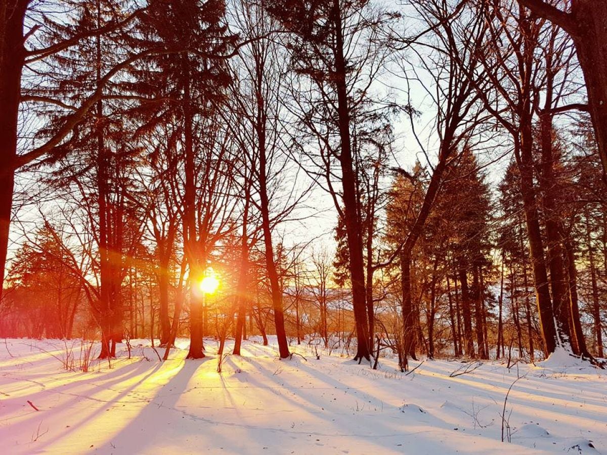 Winterimpressionen in der Rhön