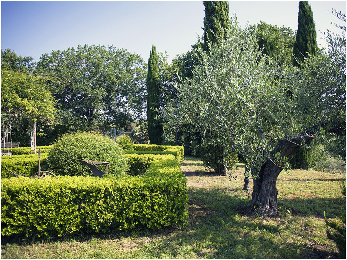 Gepflegter GartenWunderschön gepflegter Garten