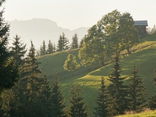Fattoria Wildschönau-Oberau Ambiente 17