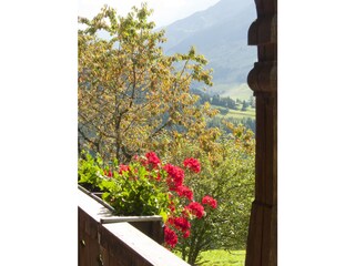 Fattoria Wildschönau-Oberau Registrazione all'aperto 4