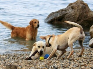 Casa per le vacanze Lovran Ambiente 19
