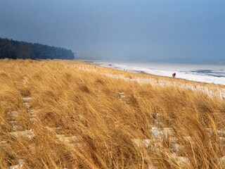 Ruegen is magnificent - also in the winter time!