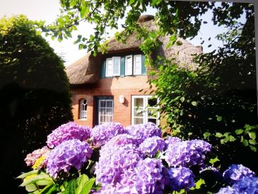 Ferienhaus Sütjers Hüs 2