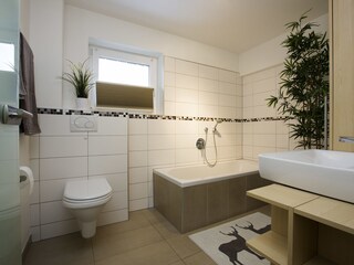 Appartamento per vacanze Gmunden Caratteristiche 6