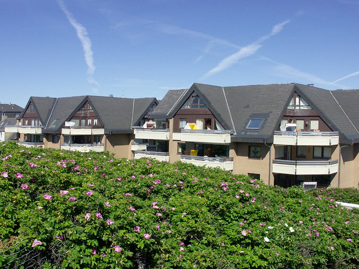 Ferienwohnung Alice 32 1 Westerland Firma Wiking Sylt Frau