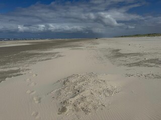Landschaft