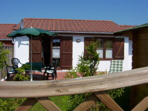 Vakantiehuis Dünenhaus De Haan