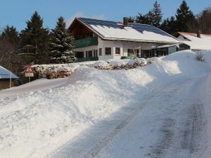 Ferienwohnung Katja - Wegscheid - image1