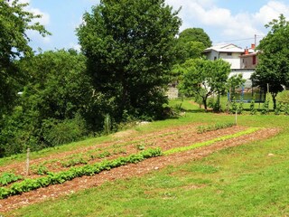 Maison de vacances Kringa Enregistrement extérieur 30