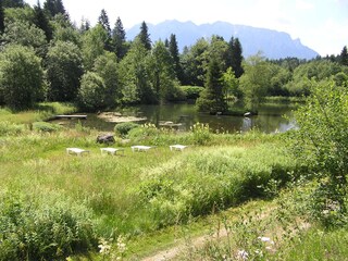 Natursee