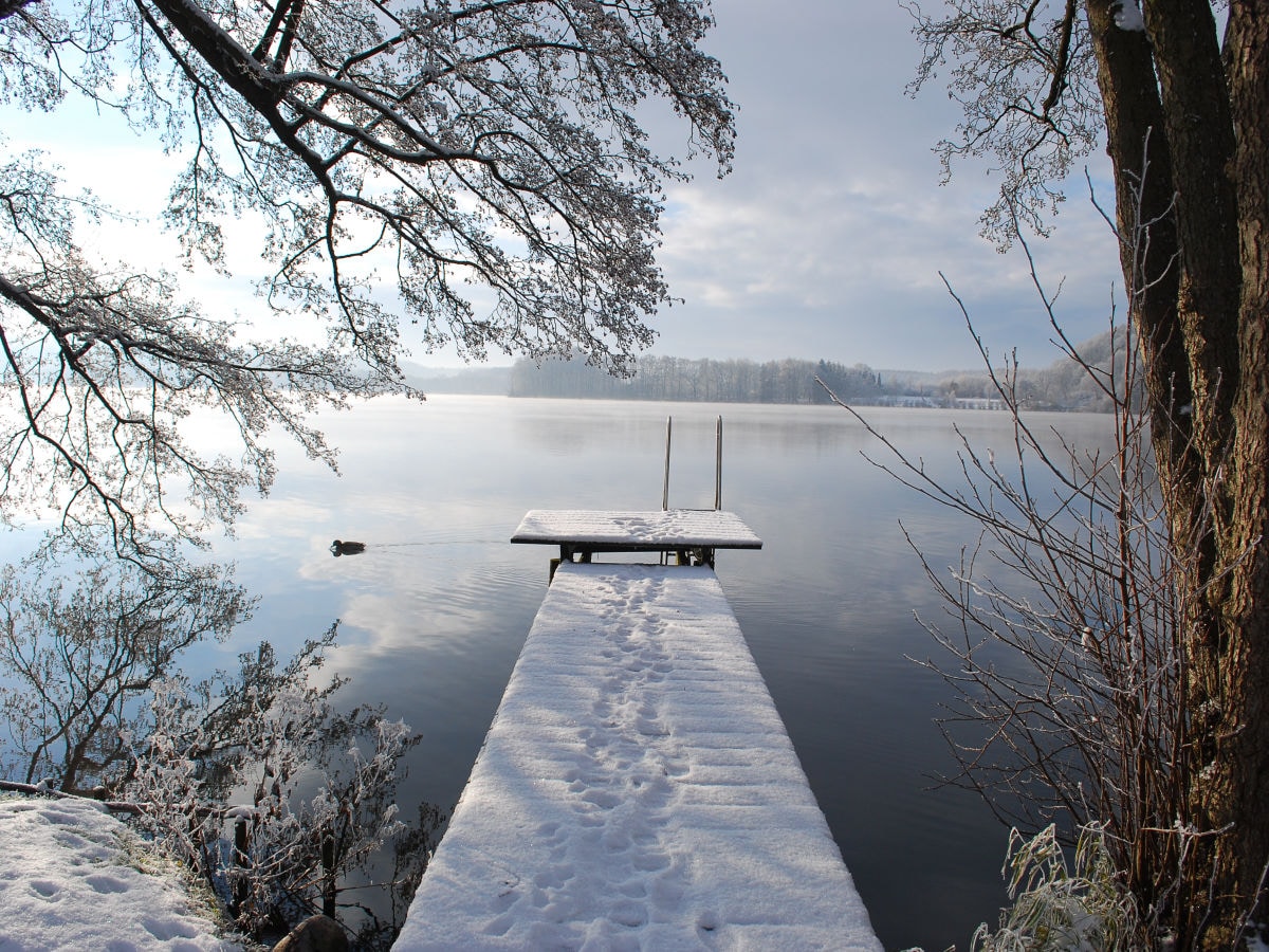 Bootssteg im Winter mit Ente