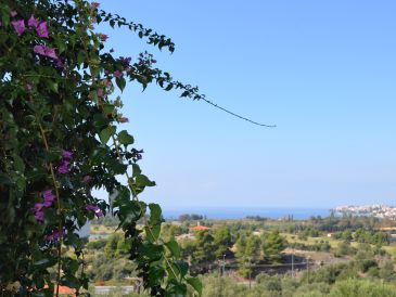 villa calliope