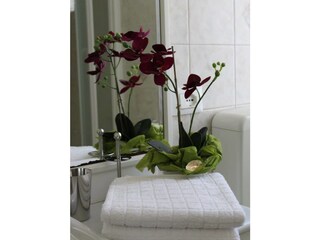 Appartamento per vacanze Villa Faraldi Caratteristiche 13