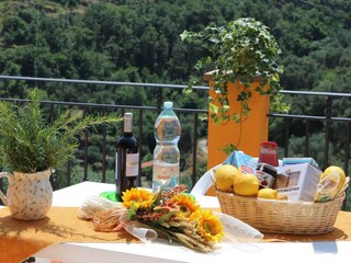 Appartamento per vacanze Villa Faraldi Registrazione all'aperto 5