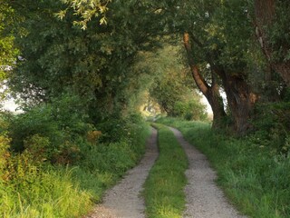 Casa per le vacanze Fresville Registrazione all'aperto 3