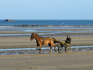 Casa per le vacanze Fresville Ambiente 17