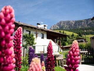 Appartamento per vacanze Wolkenstein in Gröden Registrazione all'aperto 3