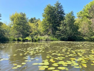 Casa per le vacanze Ketzin Ambiente 25