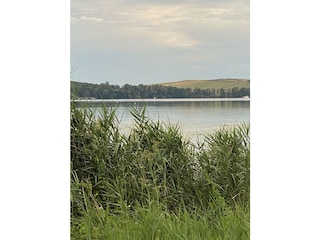 Sicht auf den Trebelsee