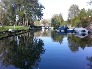 Nebenarm der Havel