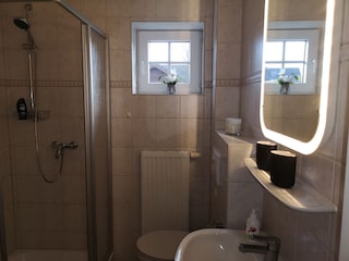 Bad EG mit Dusche, WC, Waschbecken und Sauna