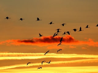 Ferienwohnung Zingst Ausstattung 29